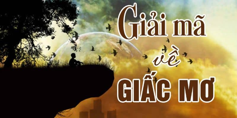 Đánh giá vai trò quan trọng của sổ giải mã mơ